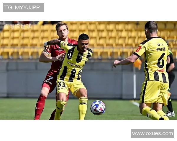 纽喷飞机与惠灵顿凤凰的精彩对决分析与赛季展望