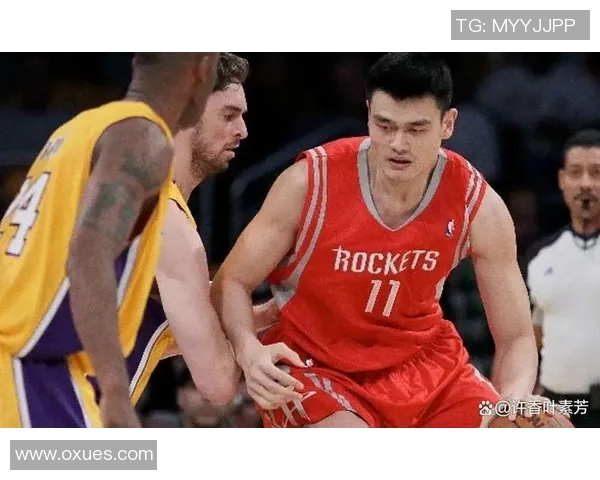 篮球明星杨的传奇之路与奋斗精神启示年轻一代追梦者