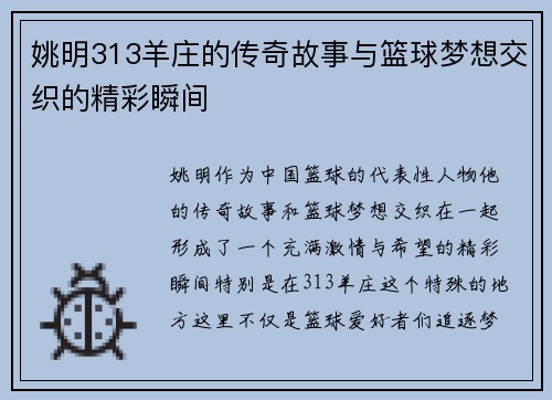 姚明313羊庄的传奇故事与篮球梦想交织的精彩瞬间